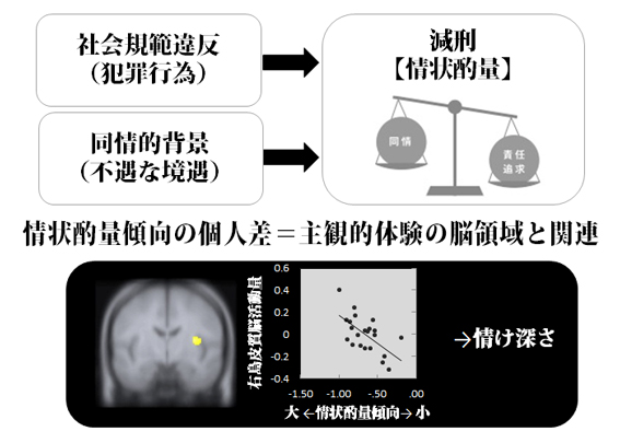 neural basis image